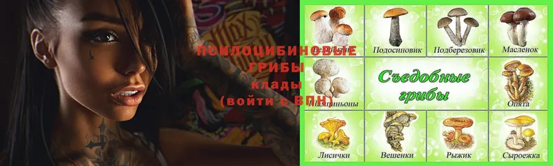 где продают   Тюмень  это как зайти  Галлюциногенные грибы Magic Shrooms 